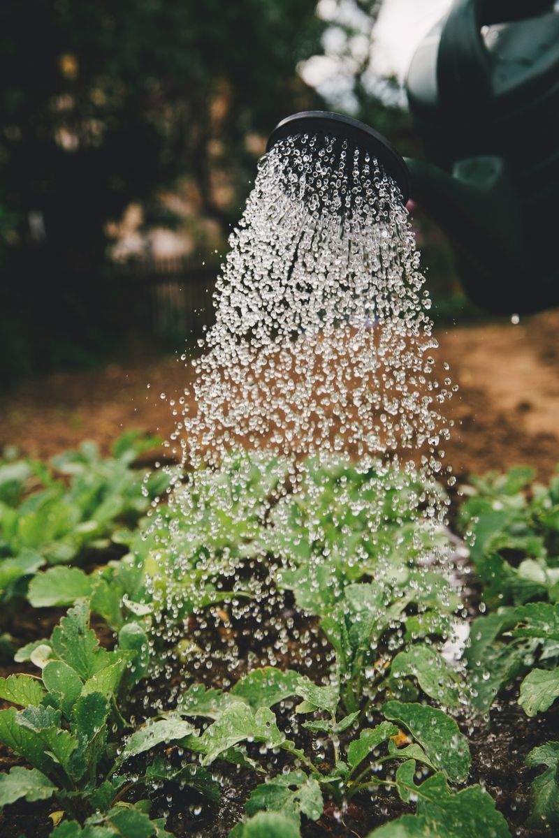 AgroSierra del Levante S.L.