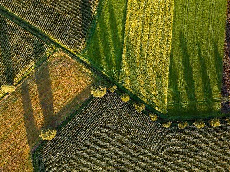 Programación del riego y flujo de trabajo de visibilidad en el campo