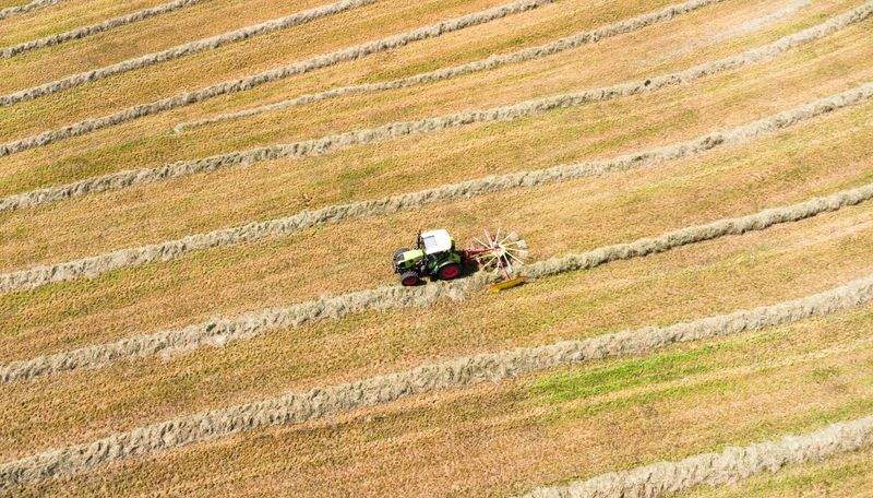 AgroSierra del Levante S.L. 12