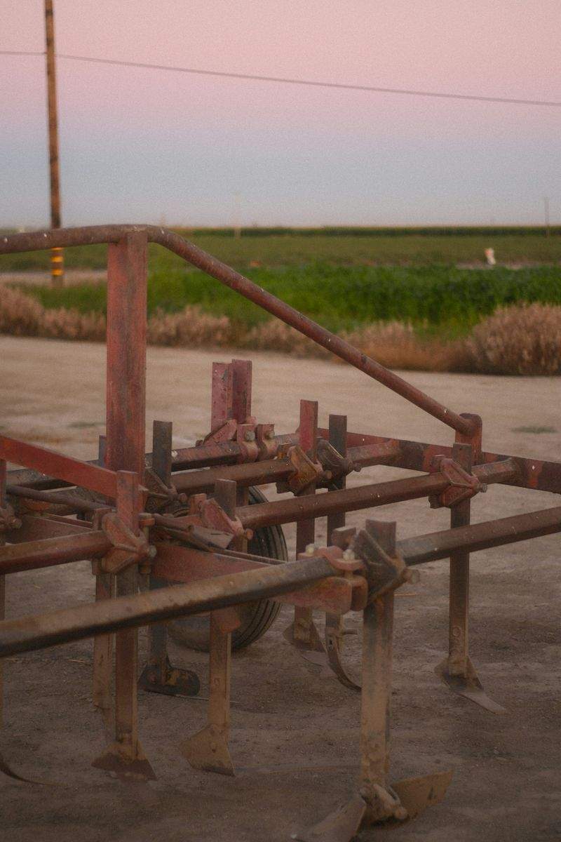 AgroSierra del Levante S.L. 15