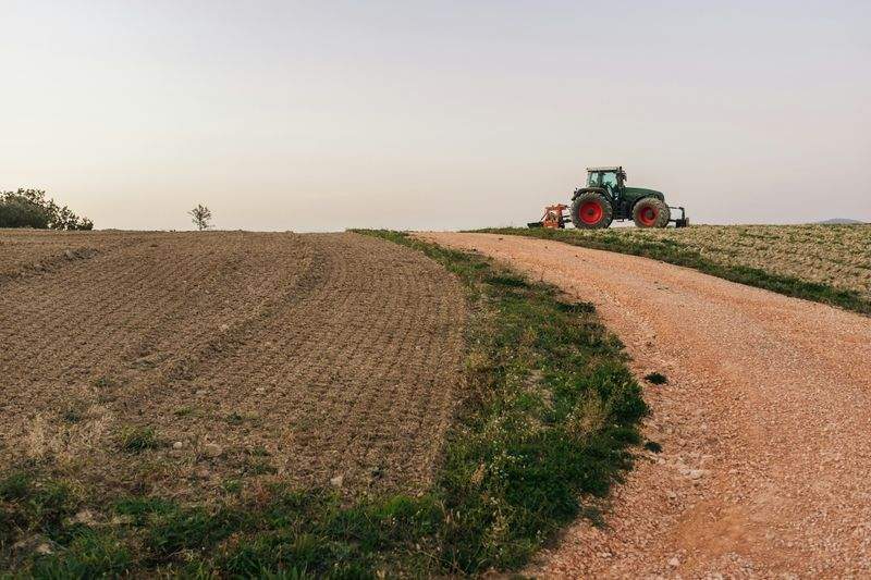 AgroSierra del Levante S.L. 8